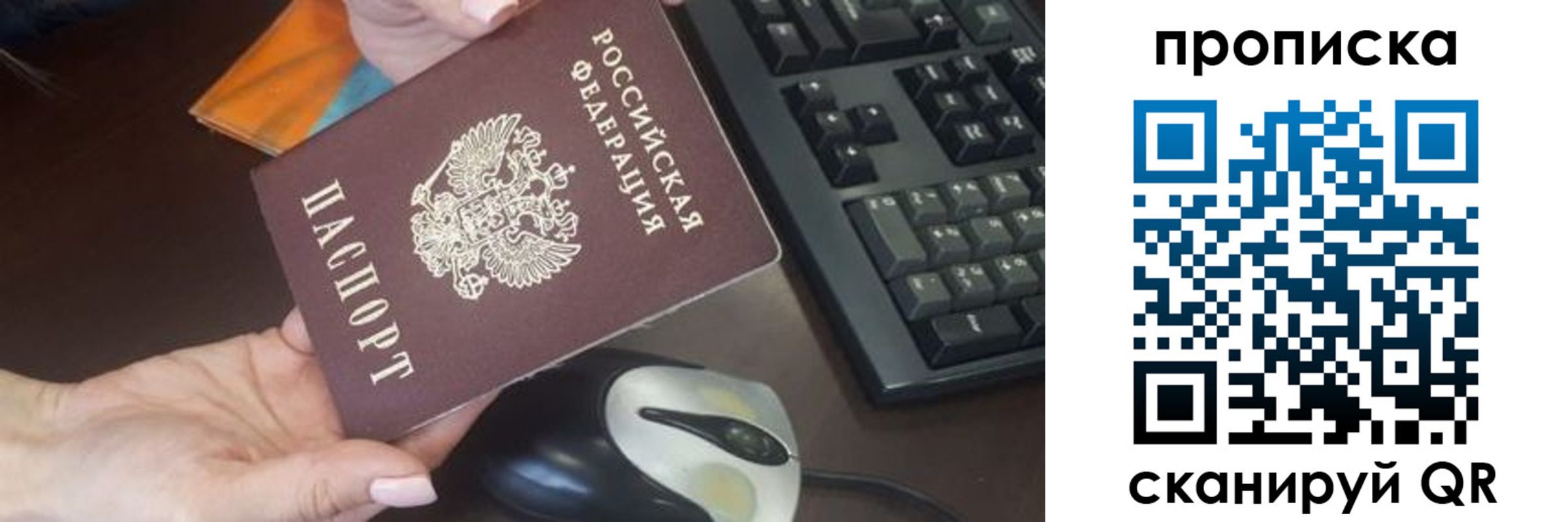 прописка гарантия в Ельне